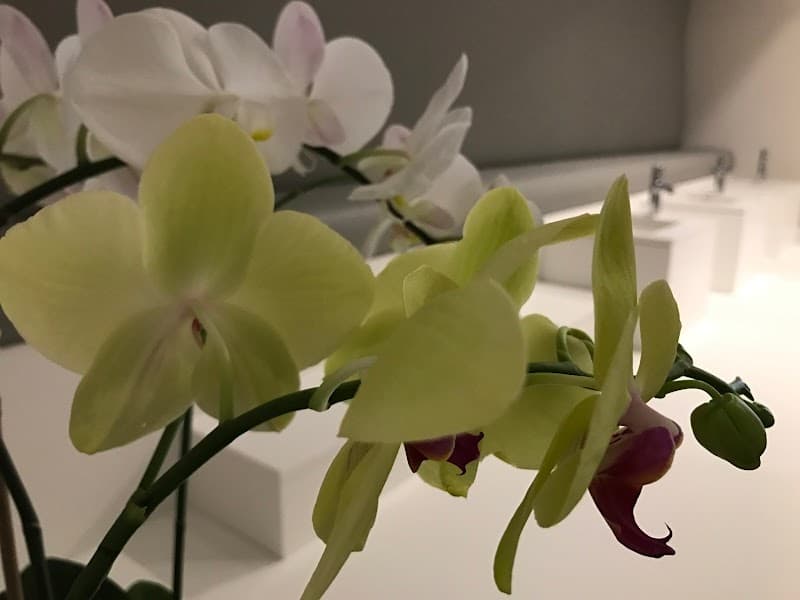 Sia's Beauty New York photo