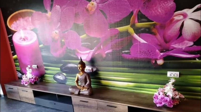 Siam-Orchidee-Thaimassage Bruchmühlbach-Miesau photo