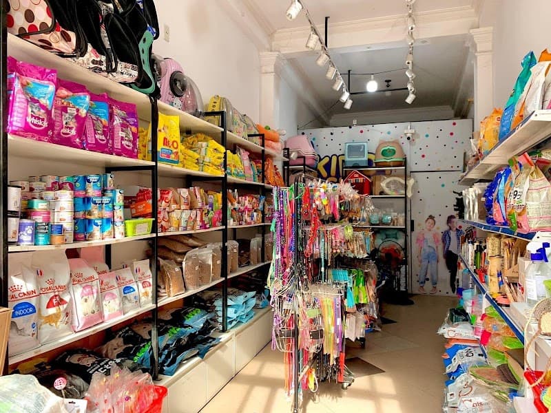 Siêu thị thú cưng- Cắt tỉa và phụ kiện chó mèo Bình Giang Hải Dương photo