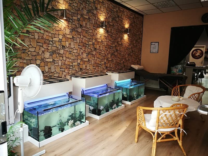 Siggis Fish Spa Berlin photo