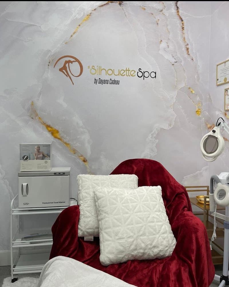 Silhouette Spa and Aesthetic Kingdom Miami photo