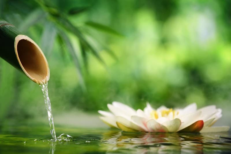 Silkeborg Massage photo
