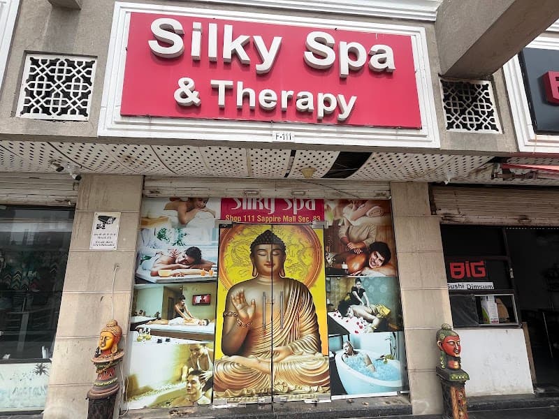 Silky SPA and Therapy Delhi photo