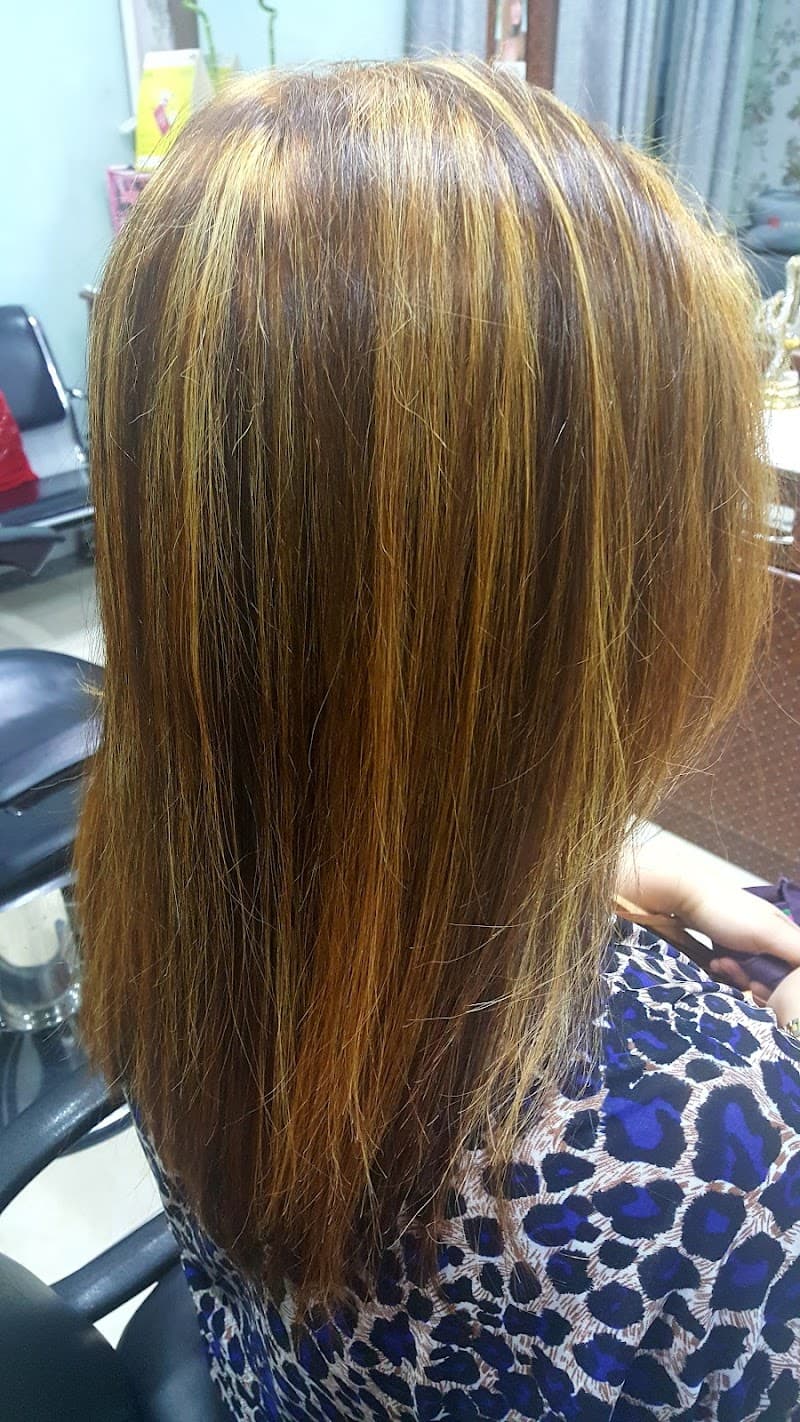 Silver Star Ladies Beauty Salon Dubai photo