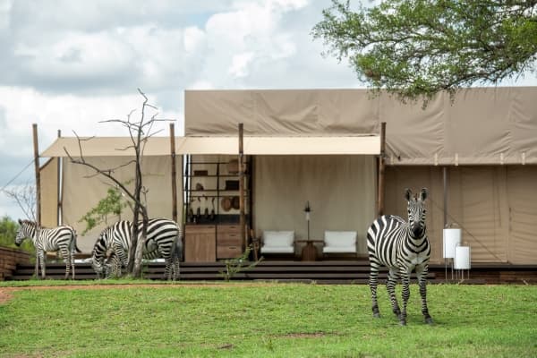 Singita Sabora Serengeti photo