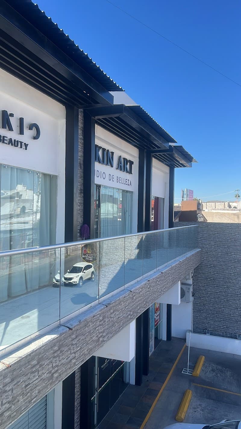 Skin Art Beauty Center Benito Juárez photo