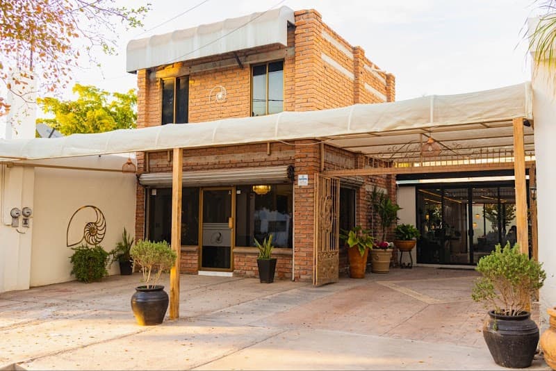 Skin Áurea Los Mochis photo