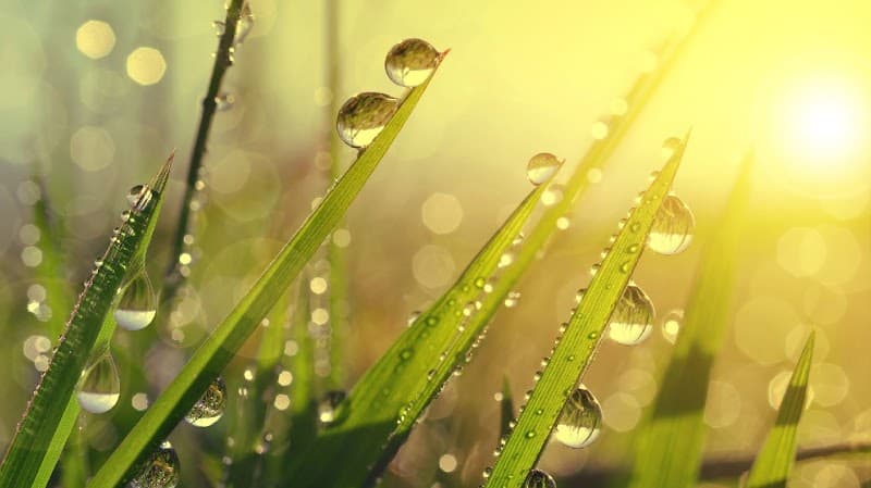 Skin Awakening, LLC/ Amy Mannix Lenox photo