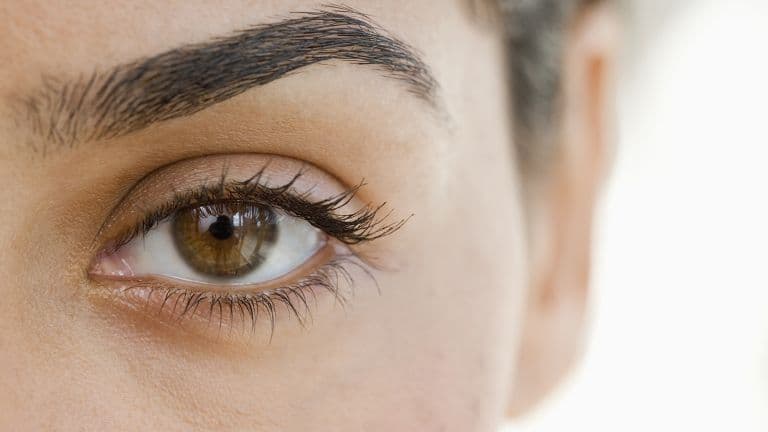 Skin Deep Skin Care Tiger photo