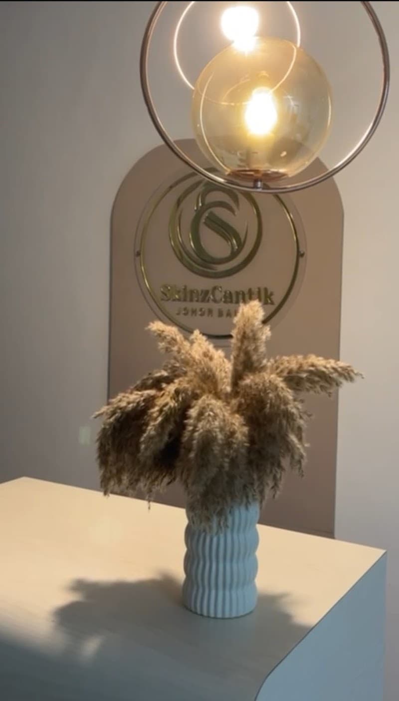 Skinzcantik Johor Bahru photo