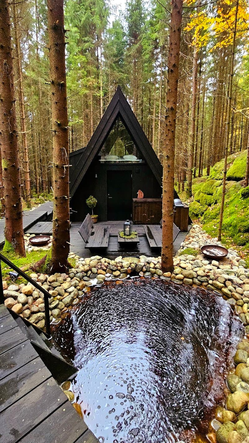 Skogsbarens Spa och Fiskecamp Sundsvall photo