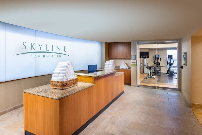 Skyline Spa & Health Club Houston photo