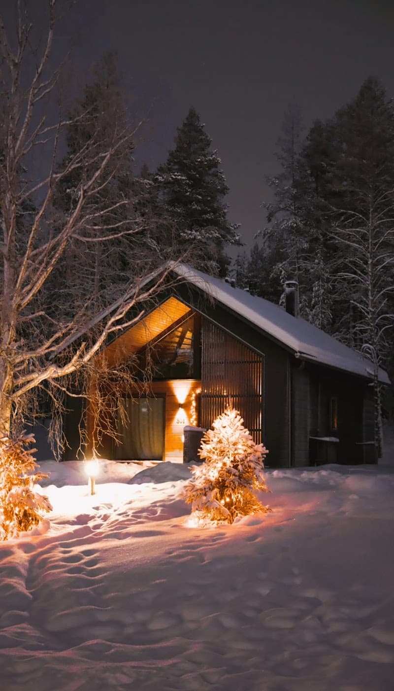 Skýra Retreat Lapland photo