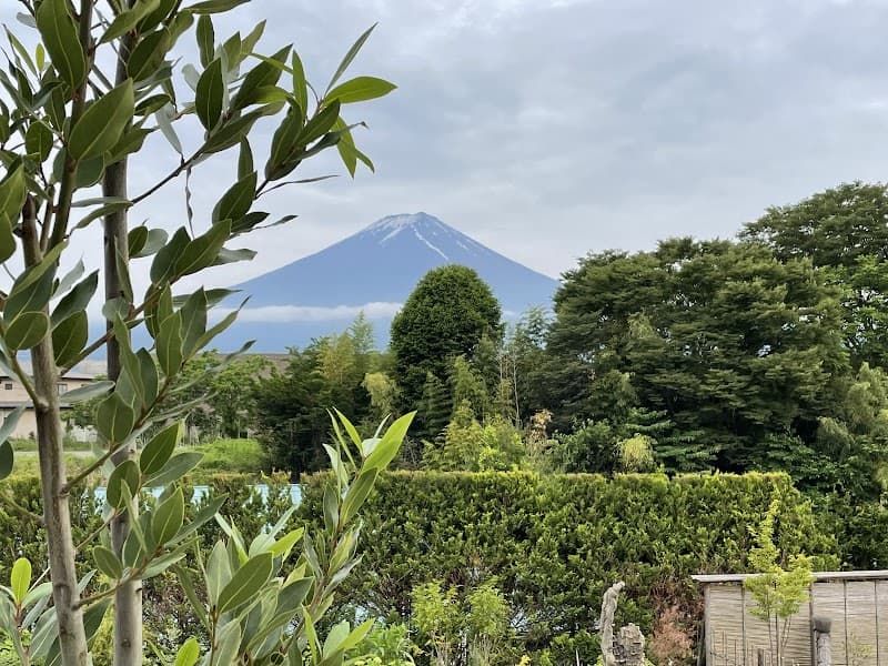 Sleeping Forest Kawaguchiko Minamitsuru District, Fujikawaguchiko Town photo