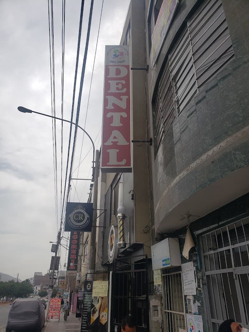 Slim Woman San Juan de Lurigancho photo