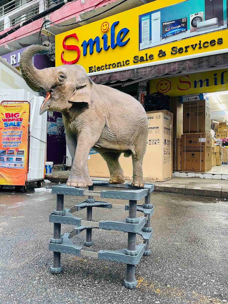 Smile World Sein si si star NO.G9 photo