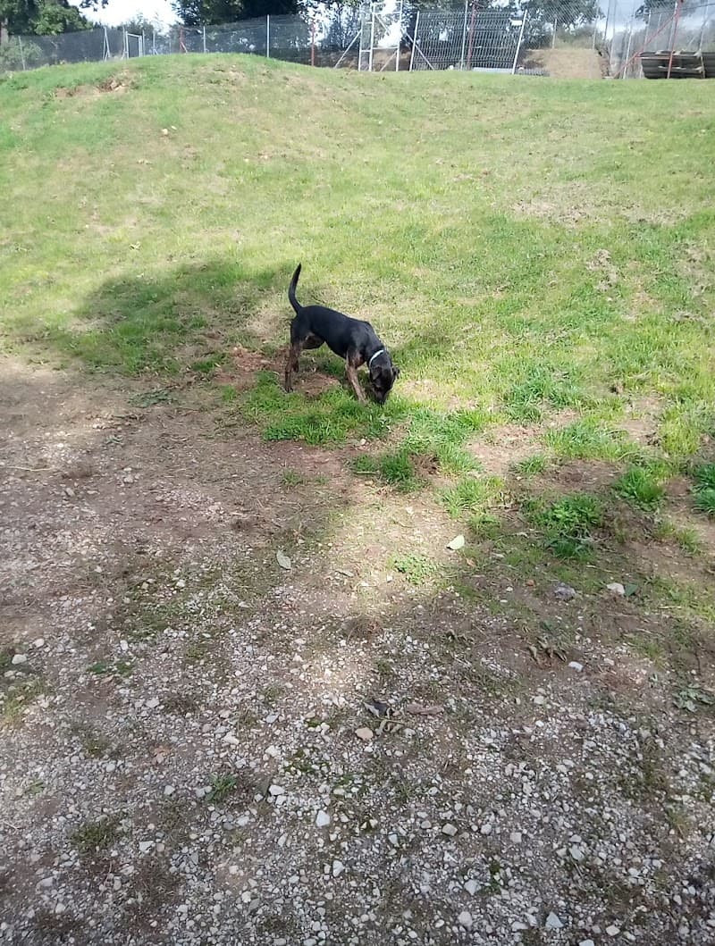 Société Protectrice des Animaux Sainte Radégonde photo
