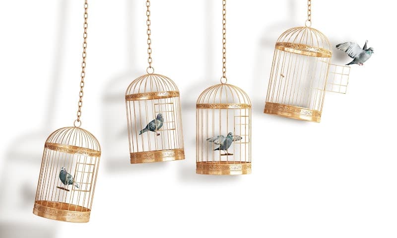 Soins énergétiques Catherine Giroux Québec photo