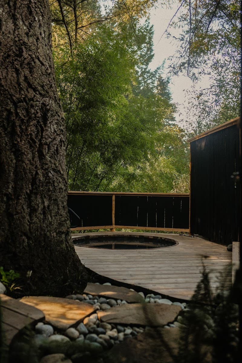 Solace Organic Spa Capital photo