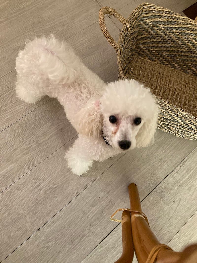 Sophia Muse Meguro Shinagawa Ward photo