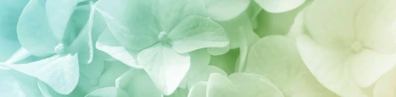 Sorgente Medical Spa Hyannis photo