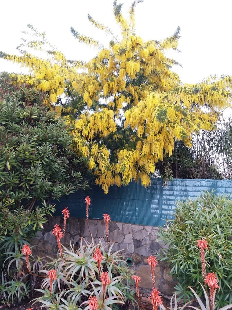 Sotogarden Extension Tienda San Roque photo