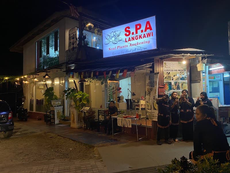 Soul Plants Awakening Spa Langkawi photo