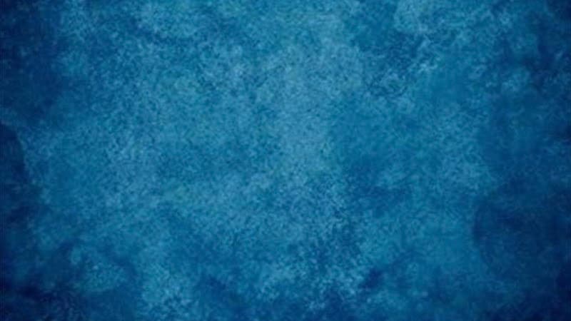 Soulful Serenity Luxury Scalp Spa Burnsville photo