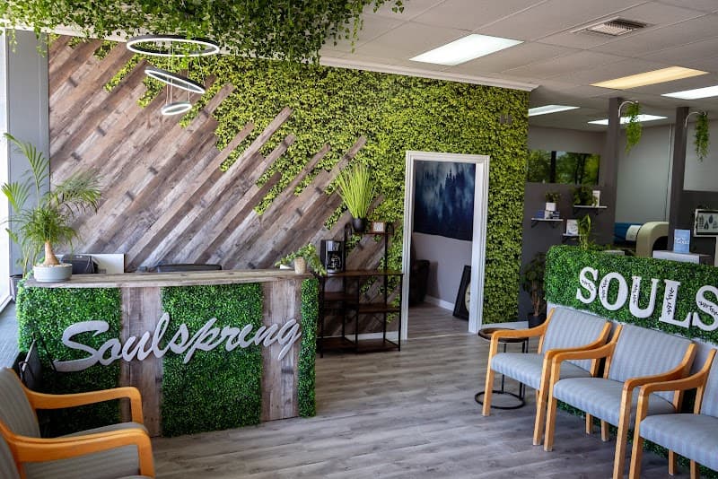 Soulspring Spa & Wellness Dodge City photo