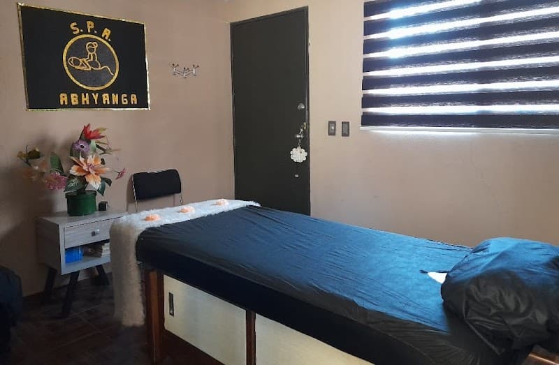 Spa Abhyanga Venustiano Carranza photo