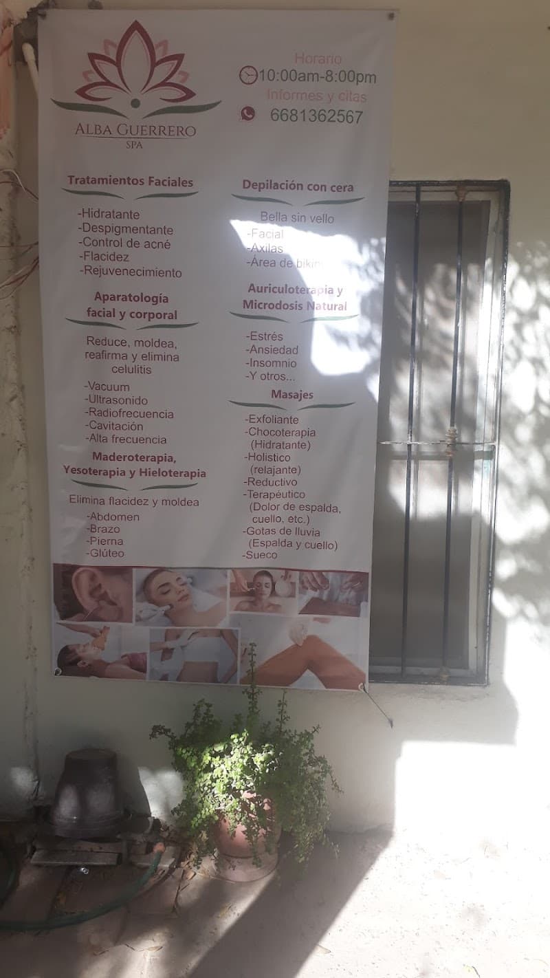 Spa Alba Guerrero El Fuerte photo
