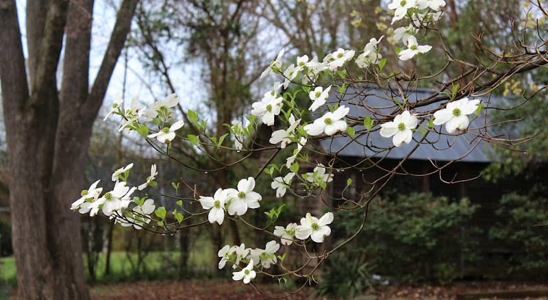 Spa at Bell House Pittsboro photo