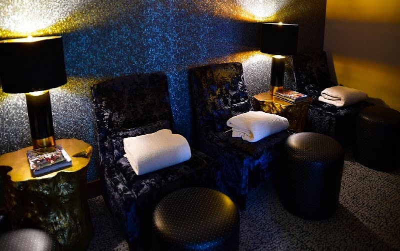 Chicago spa at dana photo