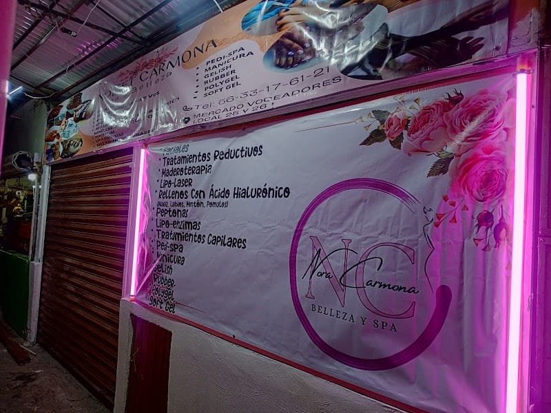 Spa & Belleza Nora Carmona Gustavo A Madero photo