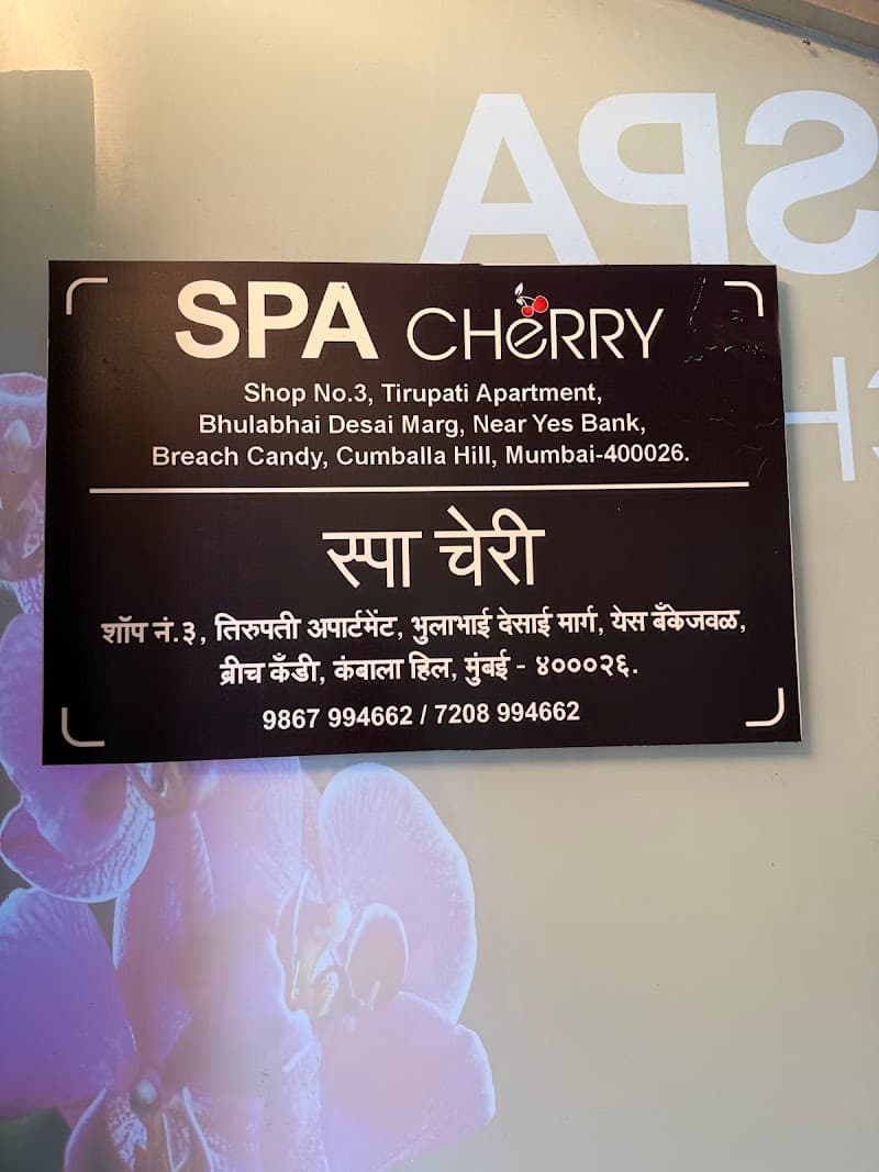 Spa Berry Mahalaxmi Mumbai photo