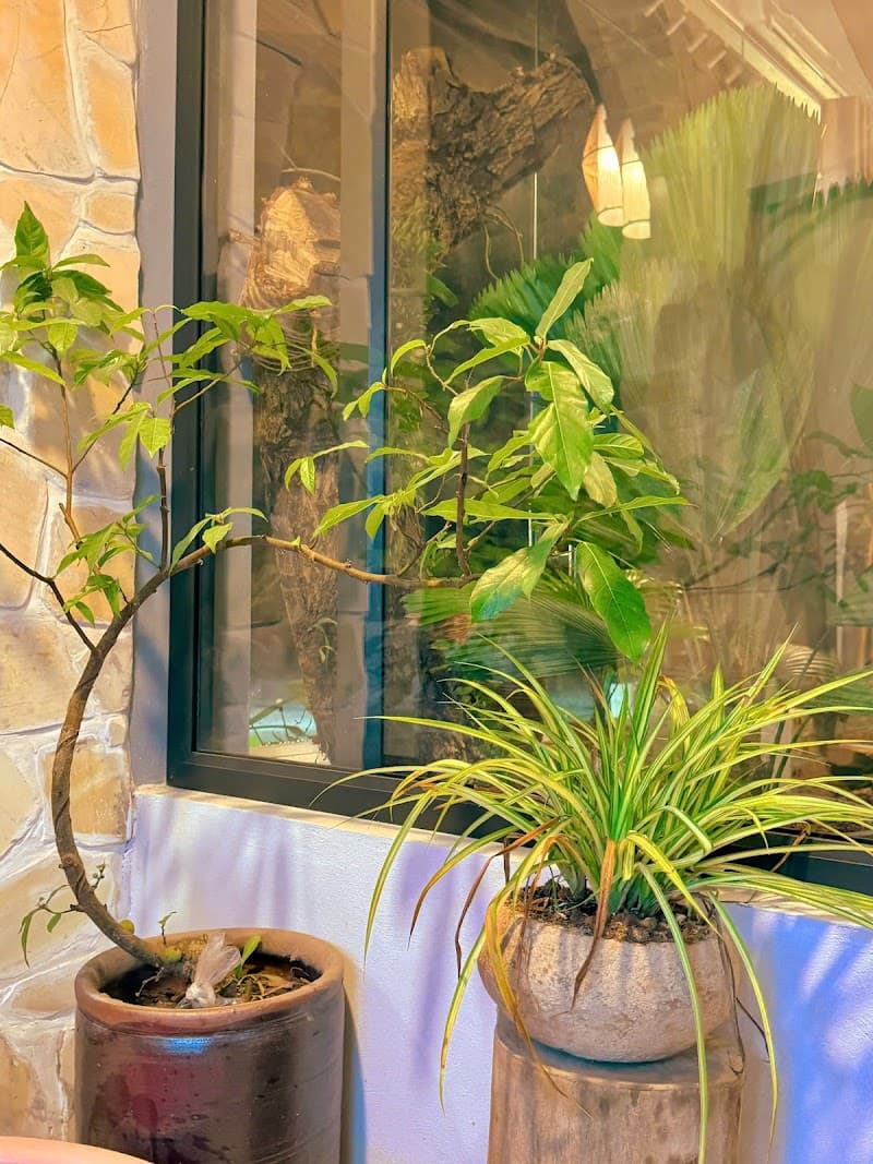 Spa Chuyên Phạm Ninh Bình photo