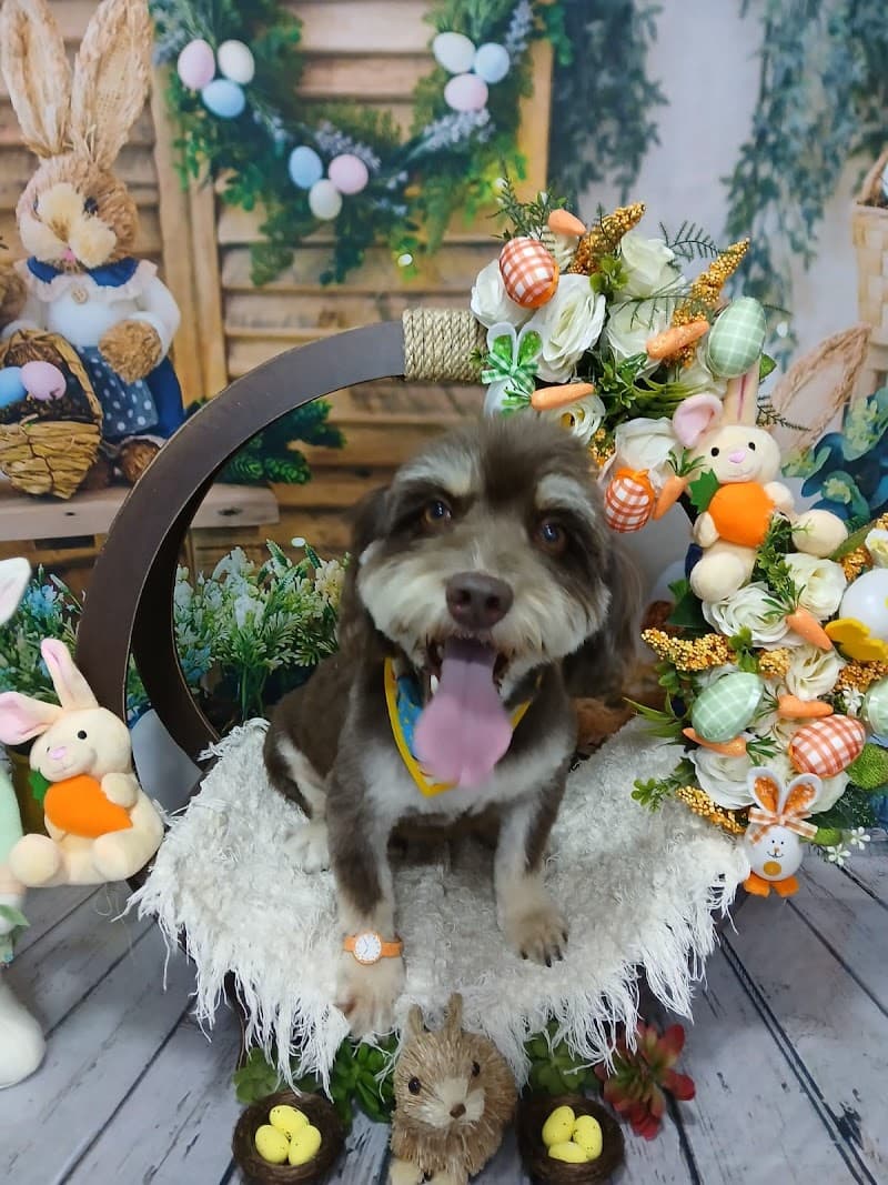 Spa da Nany São João de Meriti photo