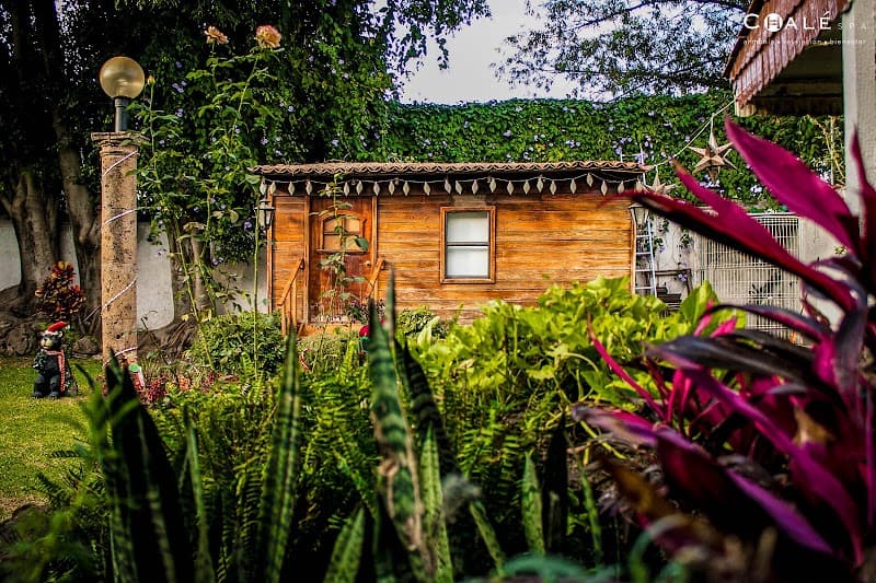 Spa de la Salud Guadalajara photo