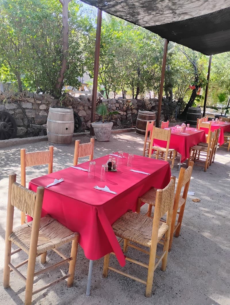 Spa El Canelo San José de Maipo photo