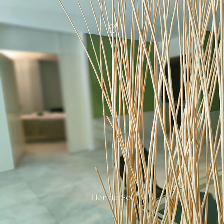 SPA Flor de Sol Viana do Castelo photo