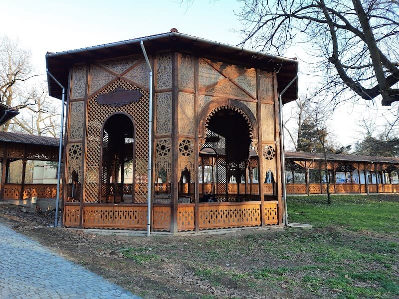 SPA Hotel Parc Buziaș photo