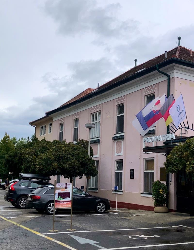 Spa Hotel Pro Patria Piešťany photo