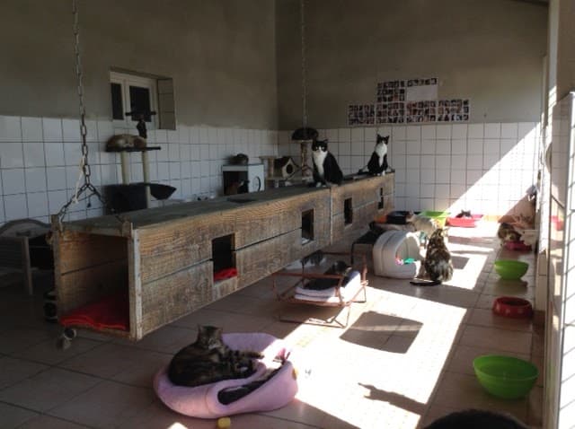 SPA Les Amandiers / Sud Ardèche Lavilledieu photo