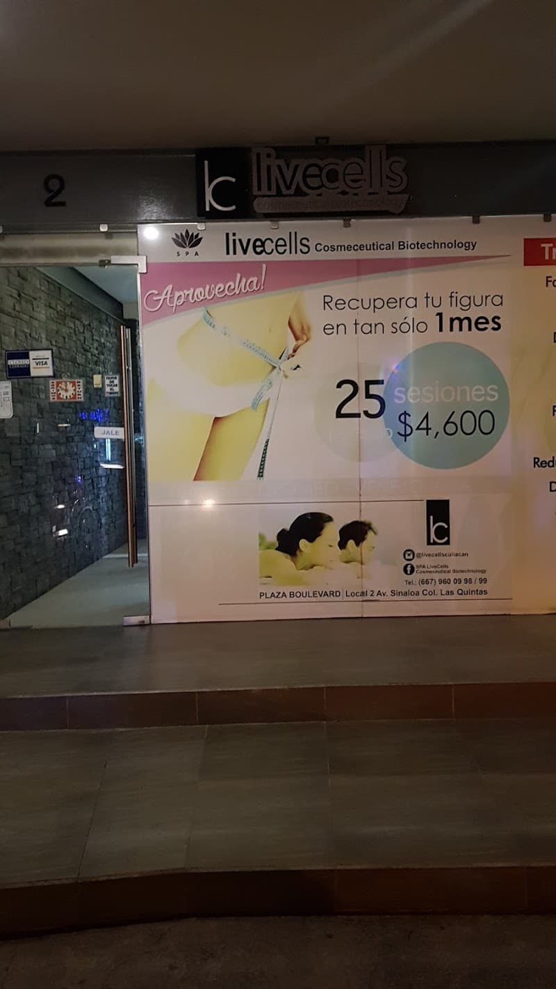 Spa Livecells Culiacán photo