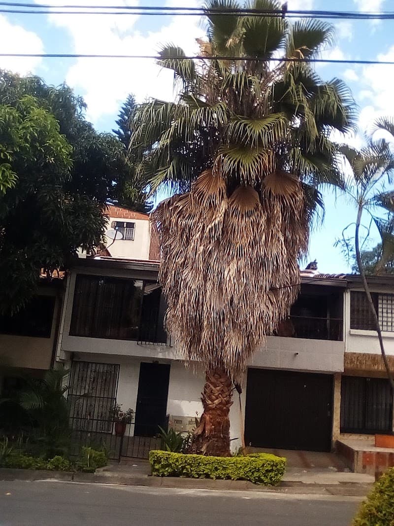 Spa Marylash Medellín photo