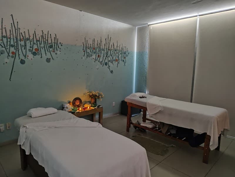 Spa Metropolitano Zapopan photo