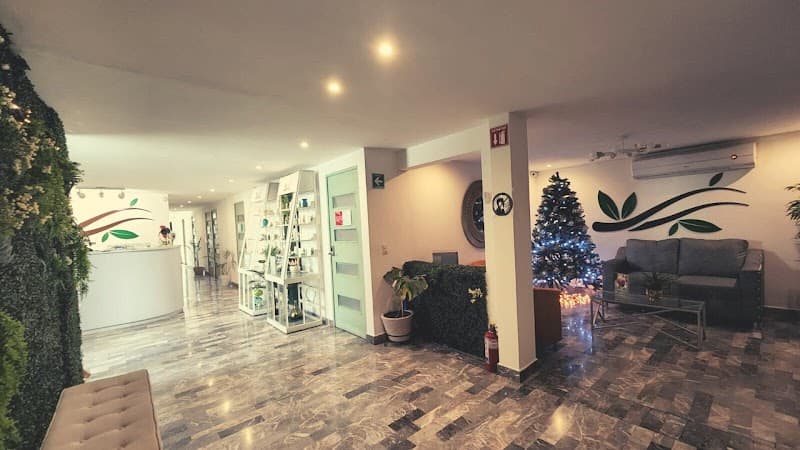 Spa Minelly San Nicolás de los Garza photo