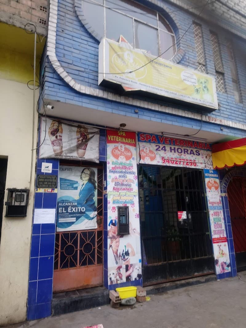 Spa Moda Canino Felino Huacho photo