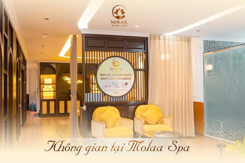Spa MOLAA Móng Cái - Thải độc hệ bạch huyết số 1 Việt Nam photo