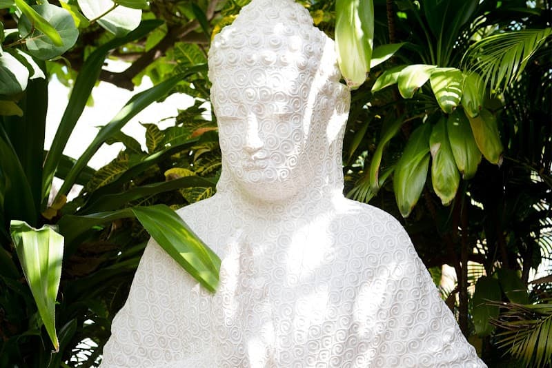 Spa Natural Center Punta Cana Higüey photo